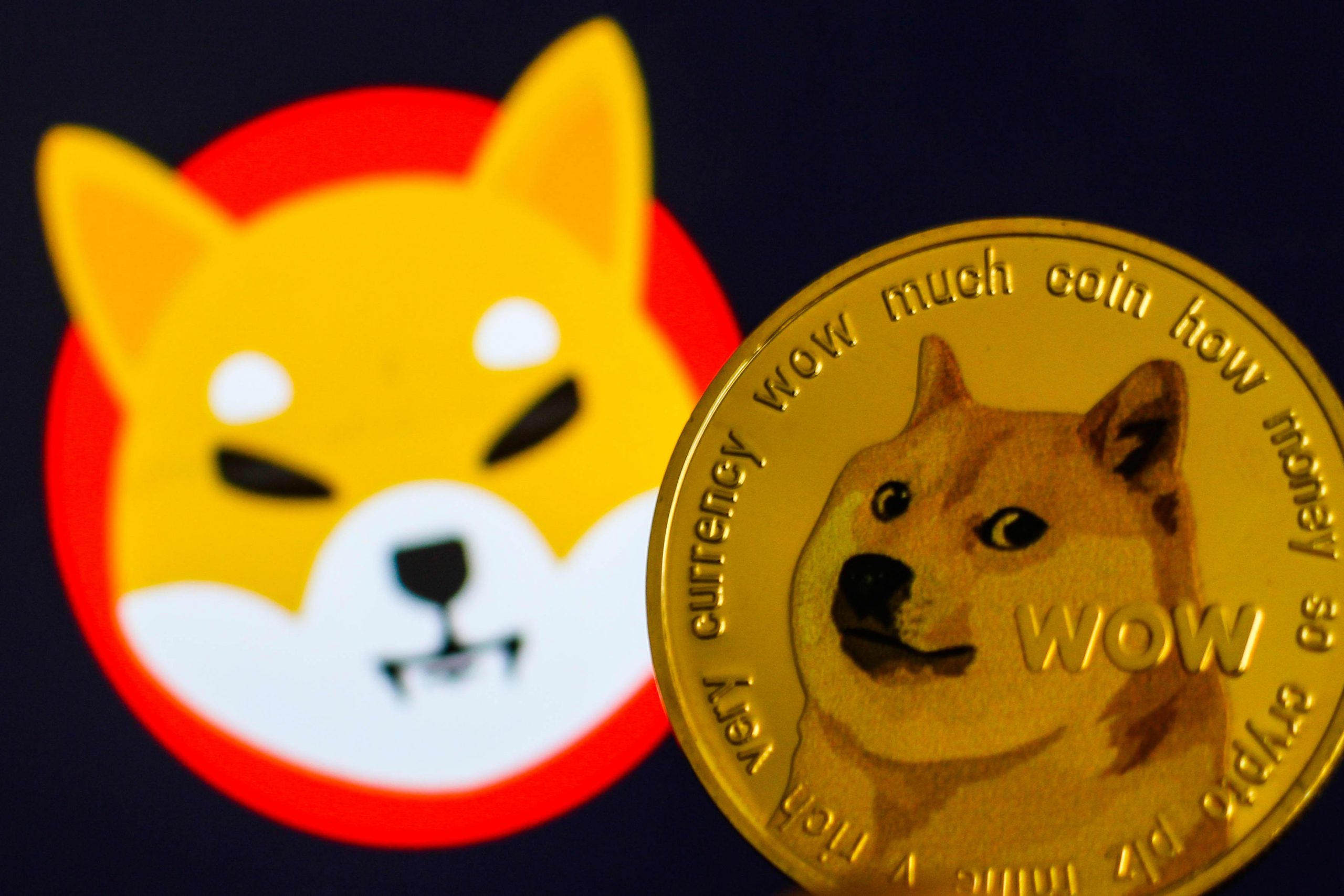 hình ảnh Dogecoin (DOGE)